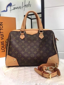 Louis Vuitton Bag 009